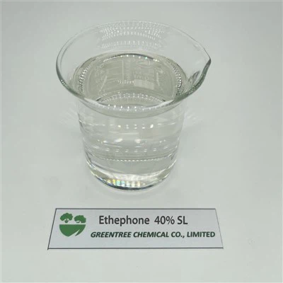Pwovizyon pou likid Ethephon Ethephon 480 GL Bannann matrité Ethephon CAS 16672-87-0